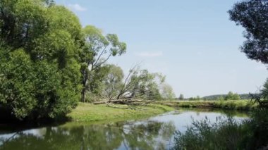 Timelapse, güneşli bir yaz gününde nehir akışının stop-motion animasyonu. Yeşil çayır, ağaçlar kıyılarda yetişir, mavi bulutsuz gökyüzü