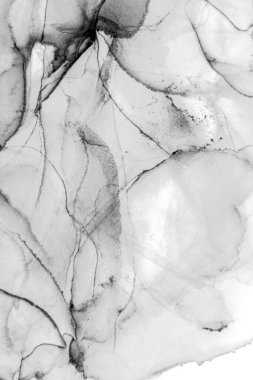 Alkol mürekkebi modern tasarımcılar için soyut sıvı sanat ve pop sanat modelleri yaratır.