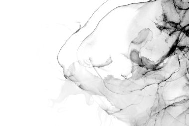 Yüksek kaliteli soyut tablolar, Çin tarzı soyut mürekkep resimleri ve alkol mürekkebiyle sunulan sanatsal altyapılar..