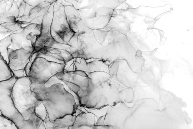 Yüksek kaliteli soyut tablolar, Çin tarzı soyut mürekkep resimleri ve alkol mürekkebiyle sunulan sanatsal altyapılar..