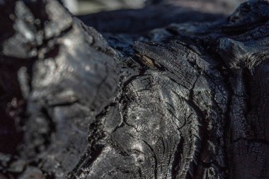 Kırsal taşlar, paslanmış dokular, renkli ve ilginç arka planlar ve büyüleyici dokular, web tasarımı ve soyut arka plan için kullanılır.