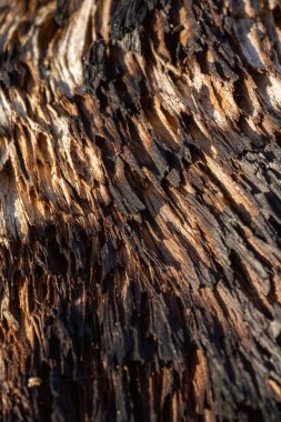 Kırsal taşlar, paslanmış dokular, renkli ve ilginç arka planlar ve büyüleyici dokular, web tasarımı ve soyut arka plan için kullanılır.