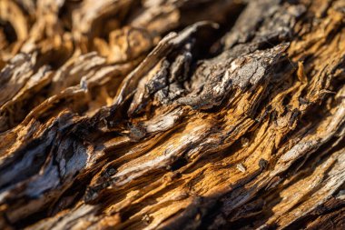 Kırsal taşlar, paslanmış dokular, renkli ve ilginç arka planlar ve büyüleyici dokular, web tasarımı ve soyut arka plan için kullanılır.