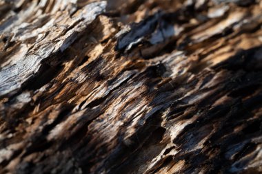 Kırsal taşlar, paslanmış dokular, renkli ve ilginç arka planlar ve büyüleyici dokular, web tasarımı ve soyut arka plan için kullanılır.