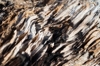 Kırsal taşlar, paslanmış dokular, renkli ve ilginç arka planlar ve büyüleyici dokular, web tasarımı ve soyut arka plan için kullanılır.