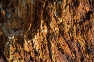 Kırsal taşlar, paslanmış dokular, renkli ve ilginç arka planlar ve büyüleyici dokular, web tasarımı ve soyut arka plan için kullanılır.