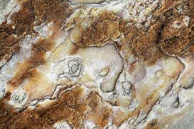 Alkol mürekkebiyle sunulan yüksek kaliteli soyut resim tasarımcıya modern bir sanat arkaplanı sunuyor..