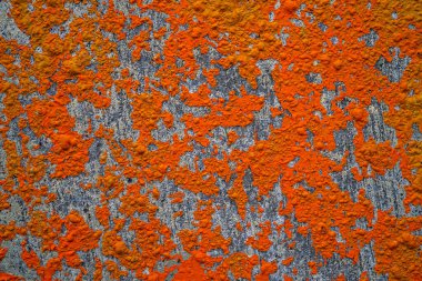 Duvardaki boyayı soyuyordum. Kırsal doğal arkaplan deseni.