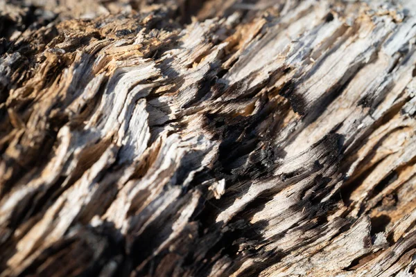 Kırsal taşlar, paslanmış dokular, renkli ve ilginç arka planlar ve büyüleyici dokular, web tasarımı ve soyut arka plan için kullanılır.