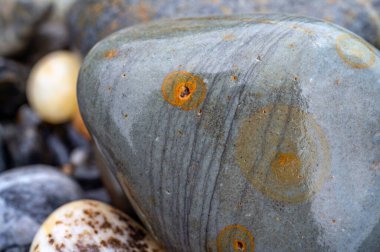 Kırsal taşlar, paslanmış dokular, renkli ve ilginç arka planlar ve büyüleyici dokular, web tasarımı ve soyut arkaplanlar için kullanılır.