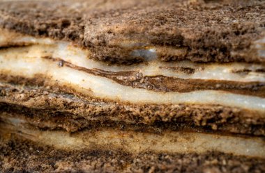 Kırsal taşlar, paslanmış dokular, renkli ve ilginç arka planlar ve büyüleyici dokular, web tasarımı ve soyut arkaplanlar için kullanılır.