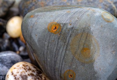 Kırsal taşlar, paslanmış dokular, renkli ve ilginç arka planlar ve büyüleyici dokular, web tasarımı ve soyut arkaplanlar için kullanılır.