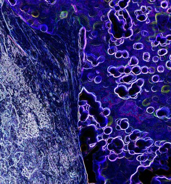 Pop sanat modern tasarım çizgiler ve renk blokları ile birleştirilmiştir