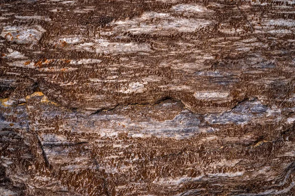 Rustikální Kameny Zkorodované Textury Barevné Zajímavé Zázemí Půvabné Textury Používané — Stock fotografie