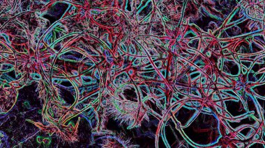 Pop sanat modern tasarım çizgiler ve renk blokları ile birleştirilmiştir