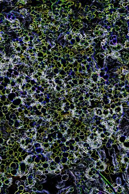 Pop sanat modern tasarım çizgiler ve renk blokları ile birleştirilmiştir