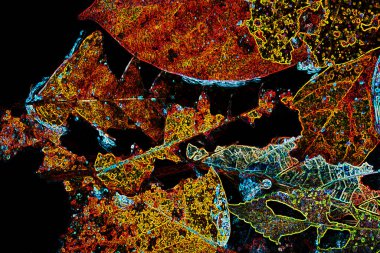 Pop sanat modern tasarım çizgiler ve renk blokları ile birleştirilmiştir