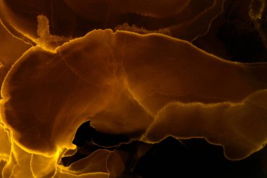 Alkol mürekkebiyle sunulan yüksek kaliteli soyut resim tasarımcıya modern bir sanat arkaplanı sunuyor..