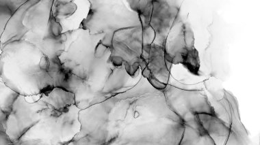 Alkol mürekkebiyle sunulan yüksek kaliteli soyut resim tasarımcıya modern bir sanat arkaplanı sunuyor..