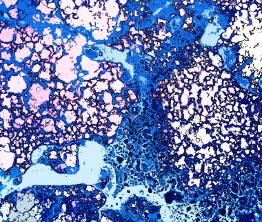 Yüksek kaliteli soyut tablolar tasarımcılara modern bir sanat arkaplanı kazandırıyor.