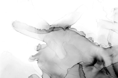 Yüksek kaliteli soyut tablolar tasarımcılara modern bir sanat arkaplanı kazandırıyor.