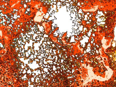 Alkol mürekkebi modern tasarımcılar için soyut sıvı sanat ve pop sanat modelleri yaratır.