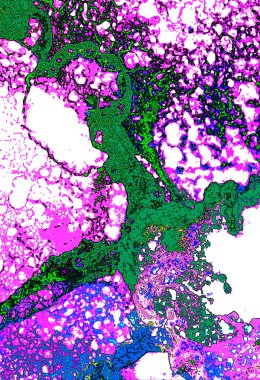 Alkol mürekkebi modern tasarımcılar için soyut sıvı sanat ve pop sanat modelleri yaratır.