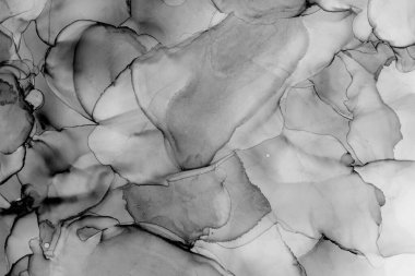 Alkol mürekkebi modern tasarımcılar için soyut sıvı sanat ve pop sanat modelleri yaratır.