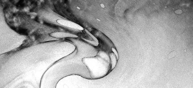 Alkol mürekkebi modern tasarımcılar için soyut sıvı sanat ve pop sanat modelleri yaratır.