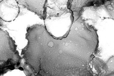 Alkol mürekkebiyle sunulan yüksek kaliteli modern sanat. Akik. Anlaşıldı. Yeşim. Yeşim. Mermer, mermer. Doku.