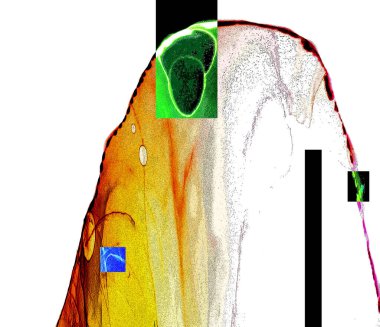 Alkol mürekkebiyle sunulan yüksek kaliteli soyut resim tasarımcıya modern bir sanat arkaplanı sunuyor..