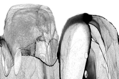 Alkol mürekkebinin sunduğu yüksek kaliteli akış sanatı tasarımcıya modern bir soyut arkaplan sağlar..