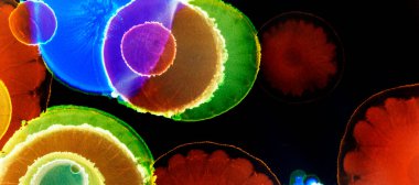 Alkol mürekkebiyle sunulan yüksek kaliteli modern sanat. Akik. Anlaşıldı. Yeşim. Yeşim. Mermer, mermer. Doku.