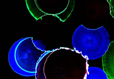 Alkol mürekkebiyle sunulan yüksek kaliteli modern sanat. Akik. Anlaşıldı. Yeşim. Yeşim. Mermer, mermer. Doku.