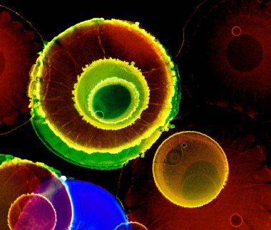 Alkol mürekkebiyle sunulan yüksek kaliteli modern sanat. Akik. Anlaşıldı. Yeşim. Yeşim. Mermer, mermer. Doku.