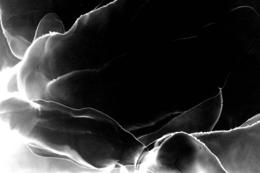 Alkol mürekkebiyle sunulan yüksek kaliteli modern sanat. Akik. Anlaşıldı. Yeşim. Yeşim. Mermer, mermer. Doku.