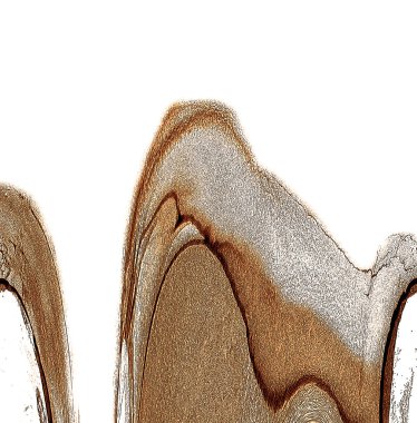 Alkol mürekkebinin sunduğu yüksek kaliteli akış sanatı tasarımcıya modern bir soyut arkaplan sağlar..