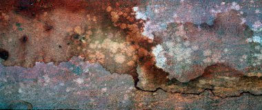 Güzel ahşap tahıl. Ahşap arka. Tahta desenli arkaplan