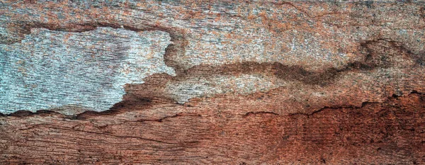 Güzel ahşap tahıl. Ahşap arka. Tahta desenli arkaplan