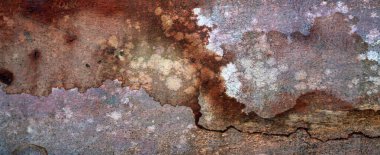 Güzel ahşap tahıl. Ahşap arka. Tahta desenli arkaplan