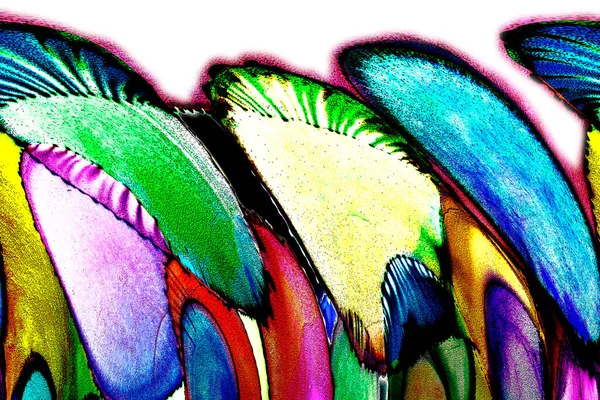 Modern tasarım çizimi. Çizgi ve renk bloğu geometrik şekiller. Pop sanat