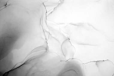 Alkol mürekkebi modern tasarımcılar için soyut sıvı sanat ve pop sanat modelleri yaratır.