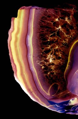 Kristal enine kesit arkaplanı. Doğal saydam agat kristal yüzey dilimi. Madenin makro yakın çekimi, soyut yapı