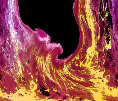 Hayattaki yaratıcı çizimler. Tasarımcılar için renkli ve güzel arkaplan modelleri