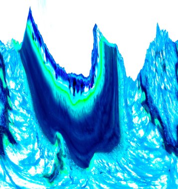 Hayattaki yaratıcı çizimler. Tasarımcılar için renkli ve güzel arkaplan modelleri