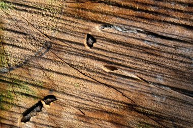 Güzel ahşap tahıl. Ahşap arka. Tahta desenli arkaplan