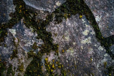 Köhne taş, aşınmış doku veya web tasarımı ve soyut arkaplan için grunge taş dokusu