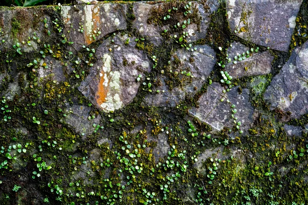 Kamień Rustykalny Skorodowana Faktura Lub Grunge Stone Tekstury Projektowania Stron — Zdjęcie stockowe