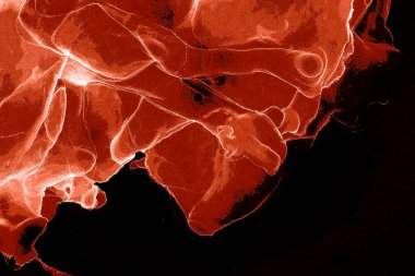 Alkol mürekkebiyle sunulan yüksek kaliteli soyut resim tasarımcıya modern bir sanat arkaplanı sunuyor..