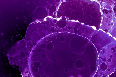 Alkol mürekkebi ve renkli soyut modern resim arka planıyla yapılmış yüksek kalite modern soyut resim..